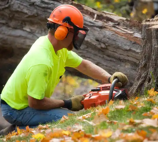 tree services Crawford